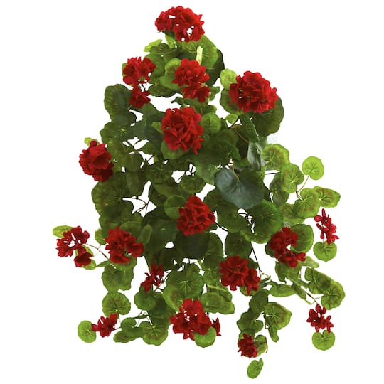 Red Geranium Bush, 2ct.